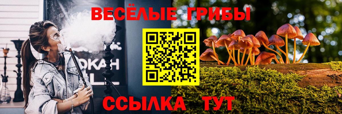 Чебоксары  Псилоцибиновые грибы GOLDEN TEACHER  Вход с VPN 